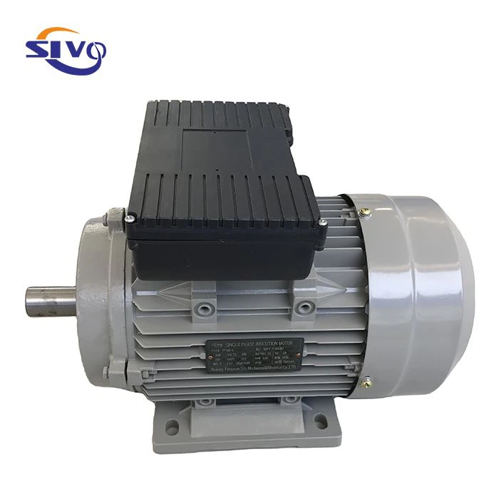 Single Phase Electric Motors