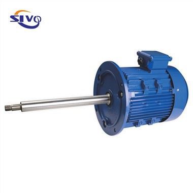 Oil Pump Motor