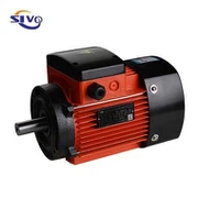 Well Pump Motor