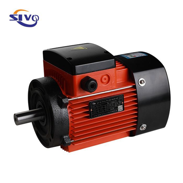Vertical Pump Motor